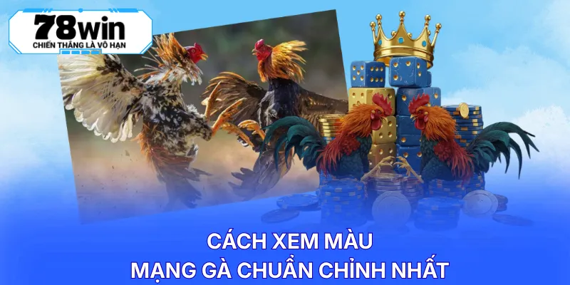 Cách xem màu mạng gà chuẩn chỉnh nhất