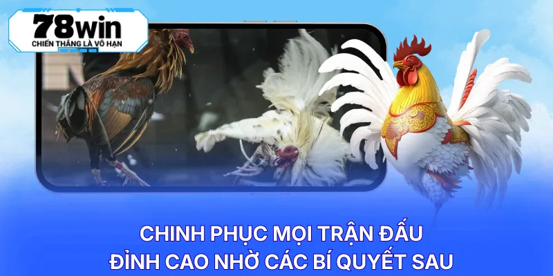 Chinh phục mọi trận đấu đỉnh cao nhờ các bí quyết sau