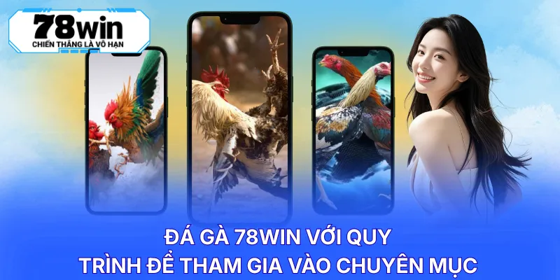 Đá gà 78WIN với quy trình để tham gia vào chuyên mục